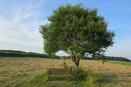 20250617_201221.jpg