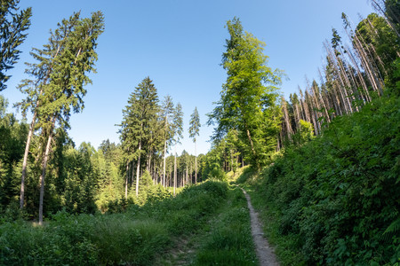 20250619_173103.jpg