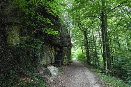 20250619_201539.jpg