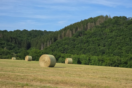 20250620_181941.jpg