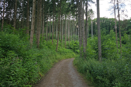 20250620_195613.jpg