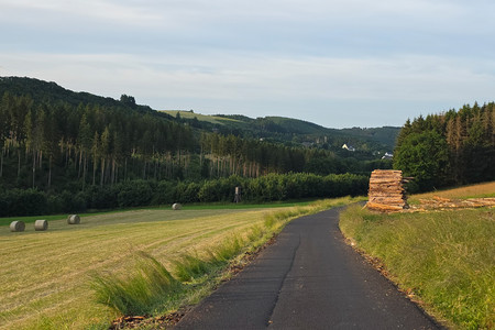 20250620_204500.jpg