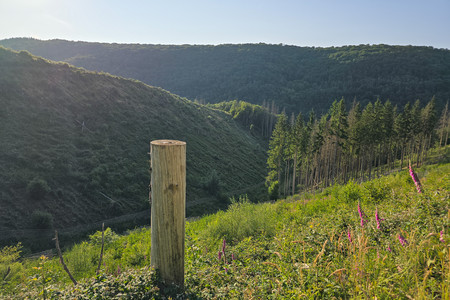 20250621_194053.jpg