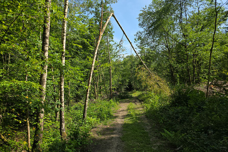 20250622_152337.jpg