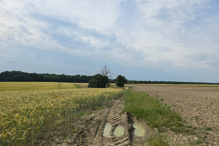 20250622_172328.jpg