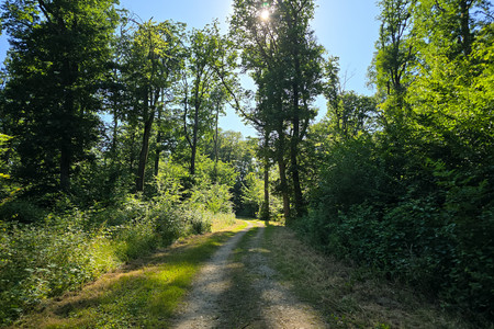 20250624_174220.jpg