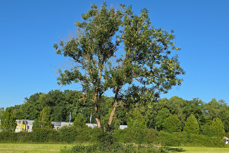 20250624_185024.jpg