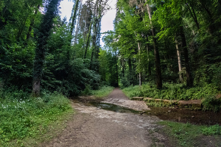 20250628_171843.jpg