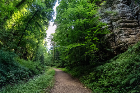 20250628_172301.jpg