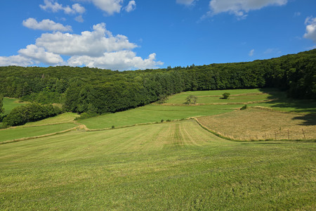 20250628_182816.jpg