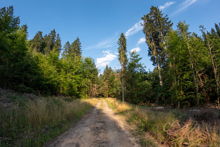 20250630_184709.jpg