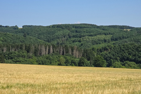 20250701_114502.jpg