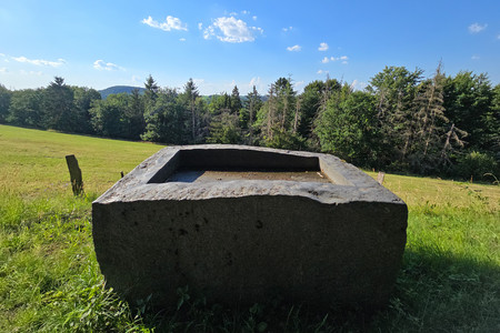 20250701_183444.jpg