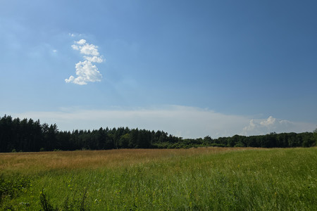20250702_165341.jpg