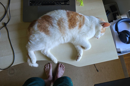 20250703_091545.jpg