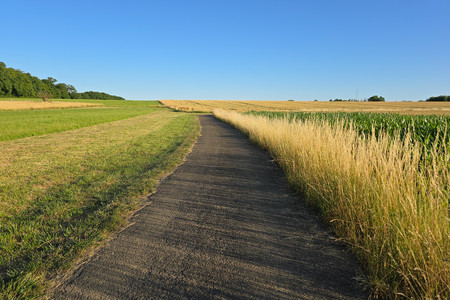 20250703_200250.jpg