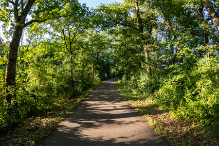 20250704_194149.jpg