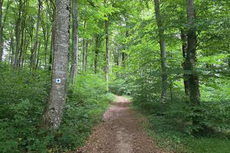 20250705_190402.jpg