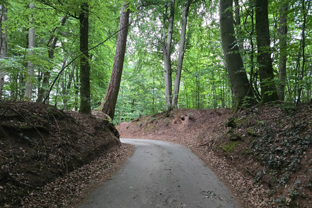20250705_192613.jpg