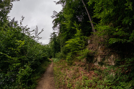 20250706_171712.jpg