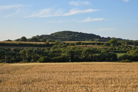 20250709_202236.jpg