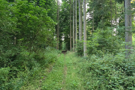 20250709_211045.jpg