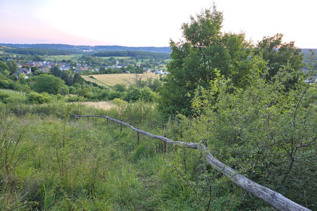 20250709_214024.jpg