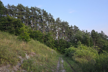 20250709_214254.jpg