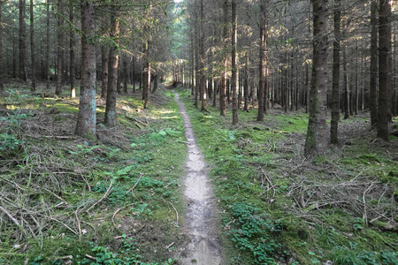 20250710_192402.jpg