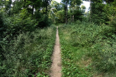 20250711_193130.jpg