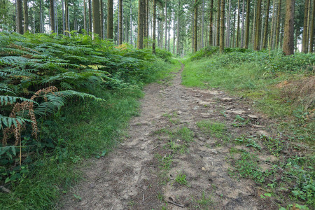 20250711_202654.jpg