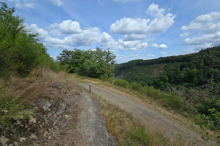 20250712_152735.jpg