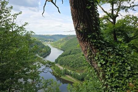 20250712_164243.jpg