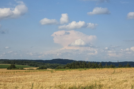 20250714_181226.jpg