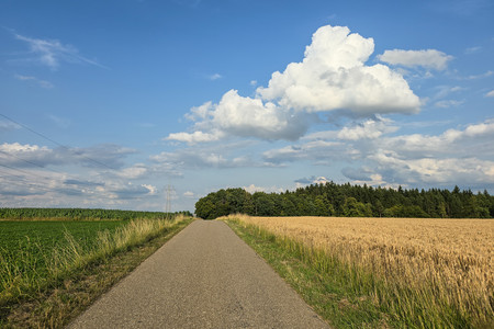 20250714_191219.jpg