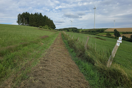 20250715_191311.jpg