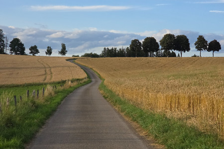 20250715_201420.jpg