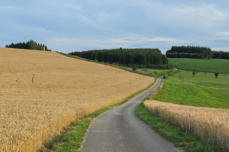20250715_201549.jpg