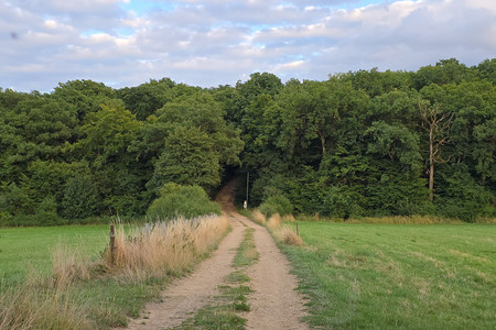 20250716_204024.jpg