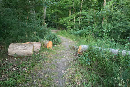 20250718_205104.jpg