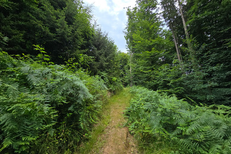 20250719_135915.jpg