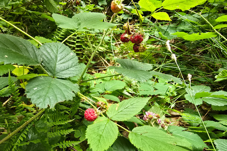 20250719_140913.jpg