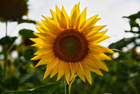 20250722_183731.jpg