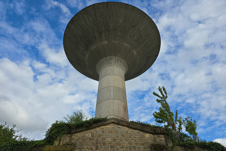 20250722_184203.jpg