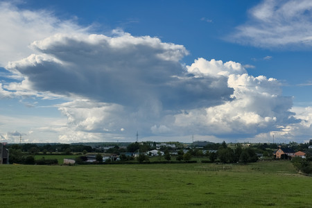 20250724_181021.jpg
