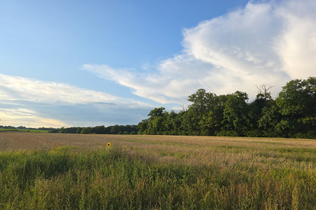 20250724_202053.jpg