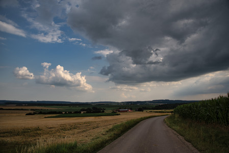 20250725_180409.jpg