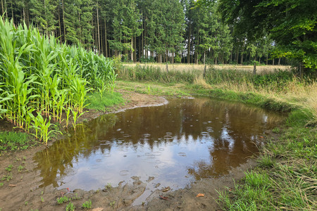 20250725_182056.jpg