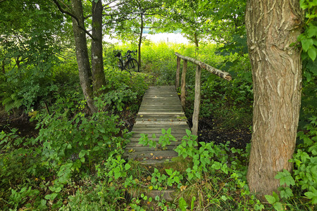 20250726_134708.jpg