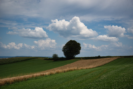 20250726_155823.jpg